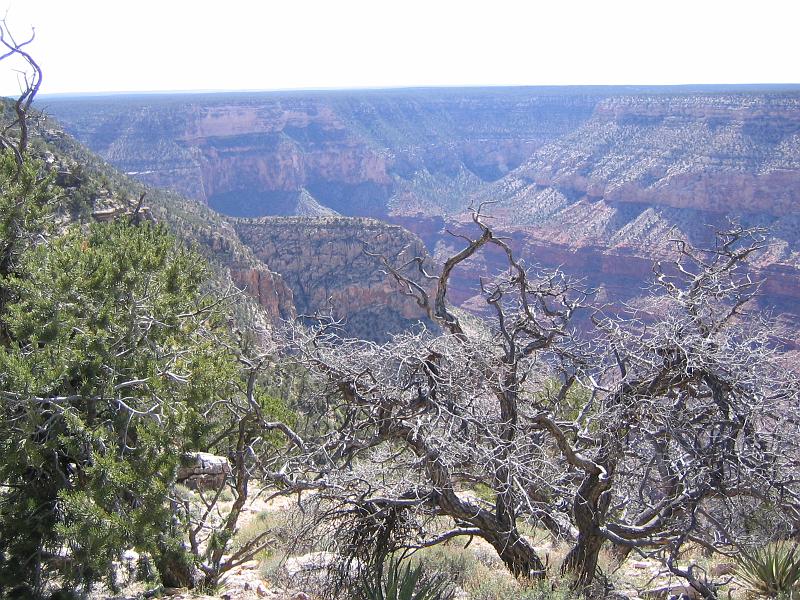 Grand Canyon (48).JPG